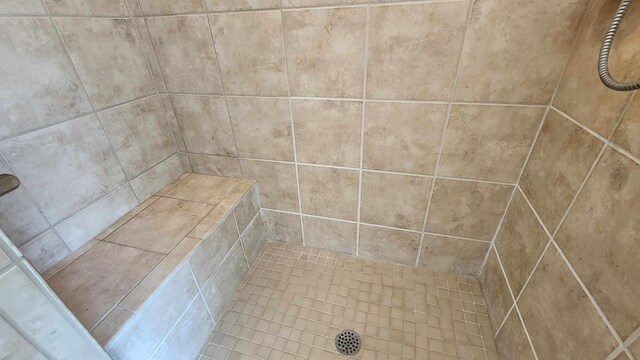 1385 Mitchell St, Celina, TN 38551 - full bath with a tile shower