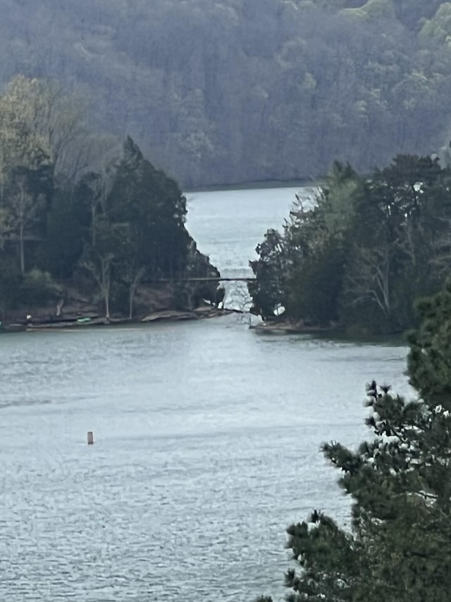 764 Cedar Hill Rd, Celina, TN 38551 - view of water feature with a view of trees