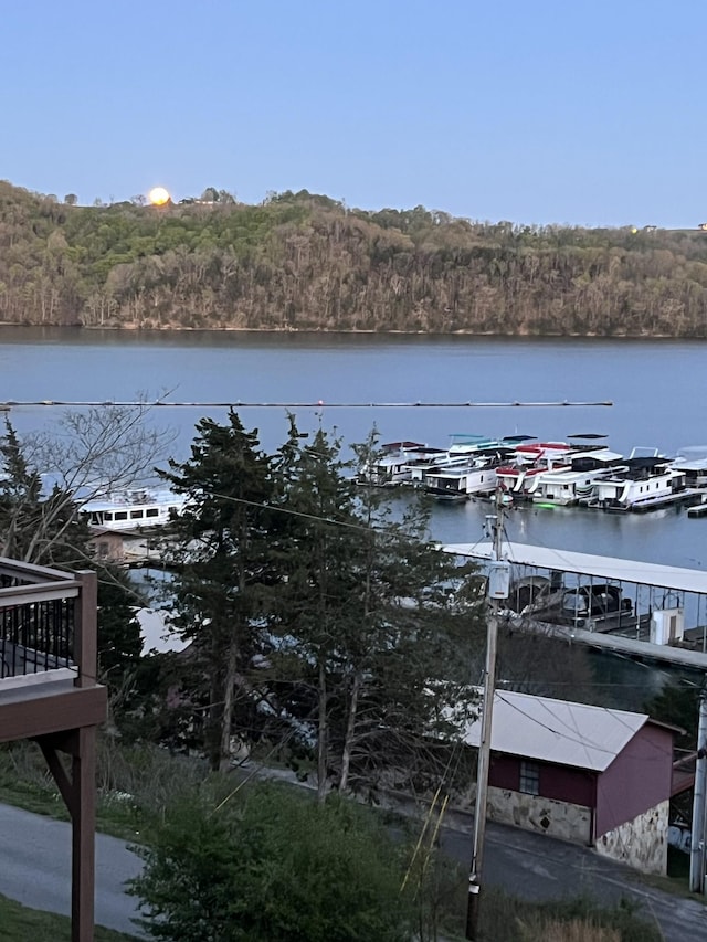 764 Cedar Hill Rd, Celina, TN 38551 - dock area featuring a water view and a forest view