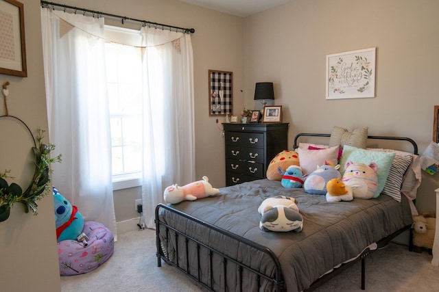 2195 Broadway St, Nolensville, TN 37135 - photo 15