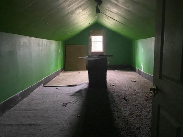 bonus room featuring baseboards, carpet flooring, and vaulted ceiling