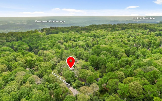 drone / aerial view with a forest view