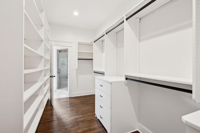 walk in closet featuring dark wood-type flooring