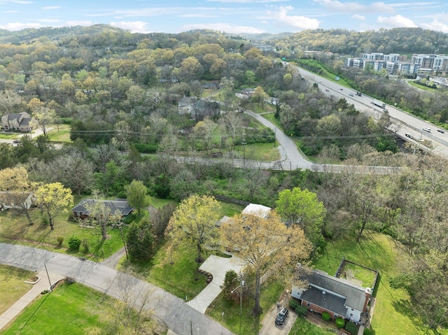 bird's eye view