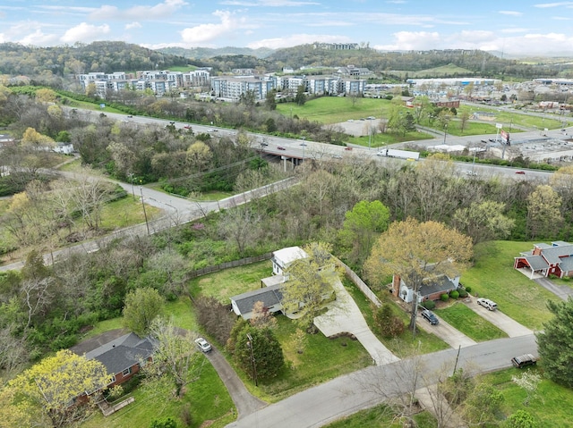 drone / aerial view