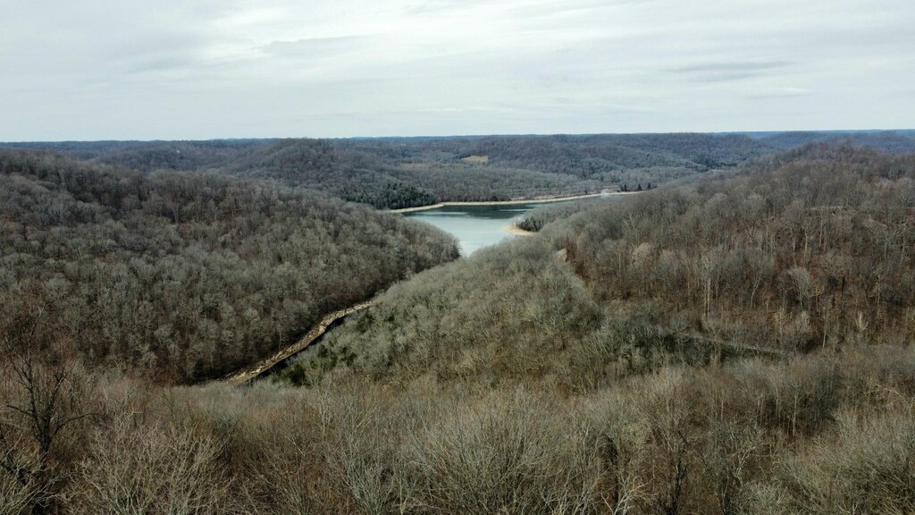 0 Lakeview Dr, Smithville, TN 37166 - photo 2