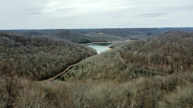 0 Lakeview Dr, Smithville, TN 37166 - photo 2