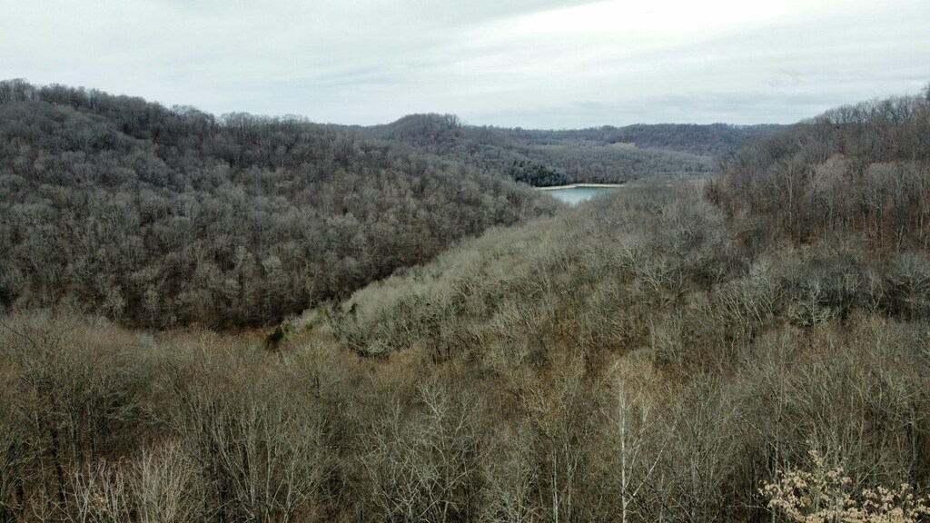 0 Lakeview Dr, Smithville, TN 37166 - photo 3