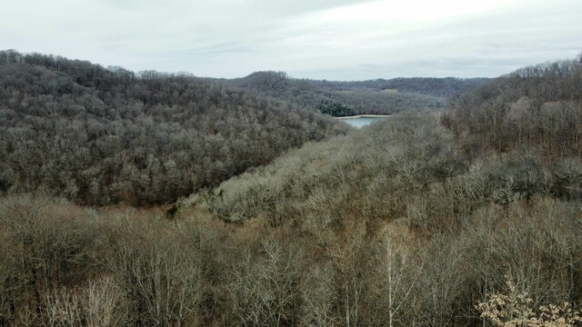 0 Lakeview Dr, Smithville, TN 37166 - photo 3