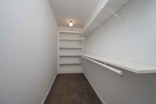 spacious closet with dark colored carpet