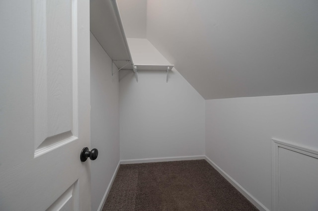spacious closet featuring carpet and lofted ceiling