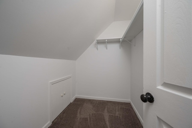 spacious closet featuring lofted ceiling and carpet flooring