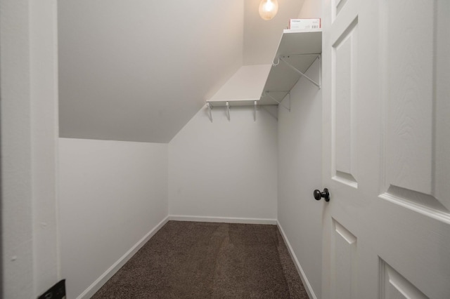 spacious closet with carpet flooring and lofted ceiling