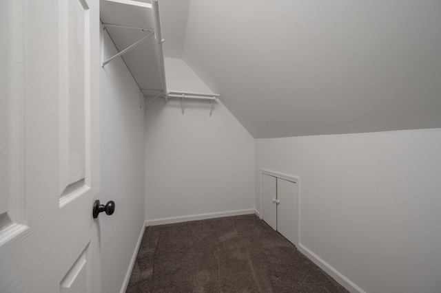 spacious closet with carpet floors and lofted ceiling
