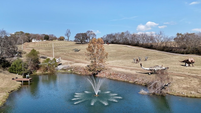 7990 Poplar Creek Rd, Nashville, TN 37221 - view of water feature