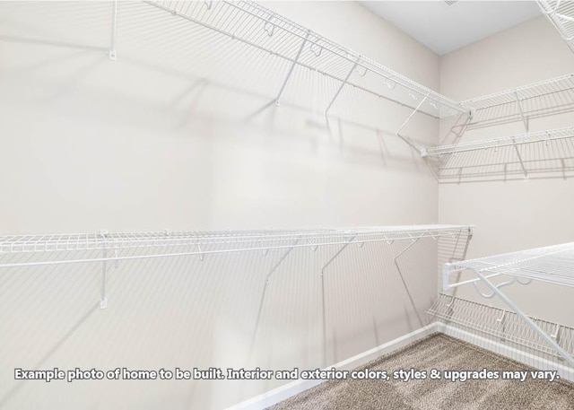 walk in closet with carpet
