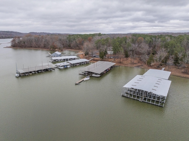 dock area featuring a water view and a view of trees