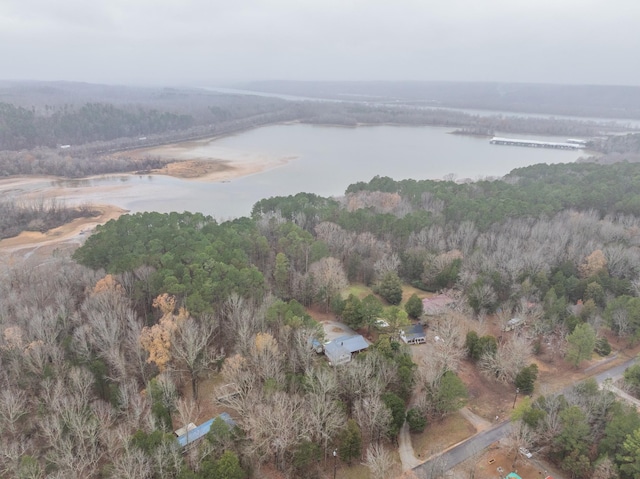 bird's eye view featuring a water view and a forest view