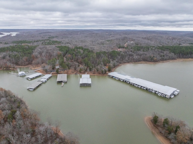 bird's eye view with a water view and a wooded view