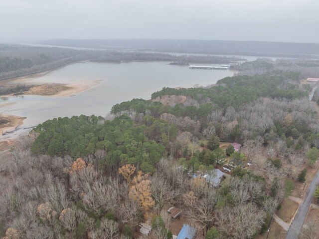 bird's eye view with a water view and a forest view