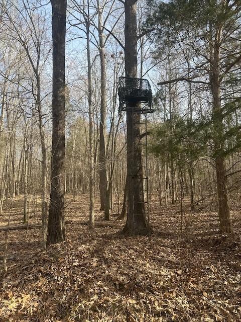 4401 Spring Creek Rd, Lavinia, TN 38348 - photo 7
