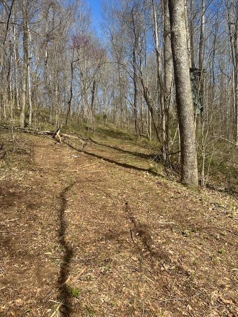 4401 Spring Creek Rd, Lavinia, TN 38348 - photo 14