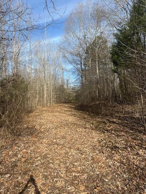 4401 Spring Creek Rd, Lavinia, TN 38348 - photo 15