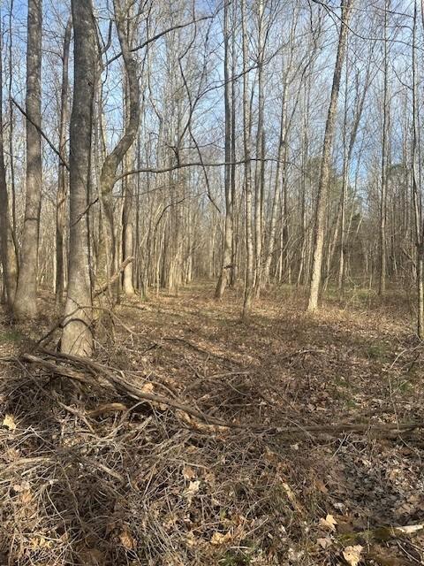 4401 Spring Creek Rd, Lavinia, TN 38348 - photo 16