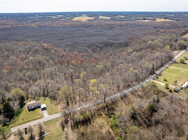4401 Spring Creek Rd, Lavinia, TN 38348 - photo 1