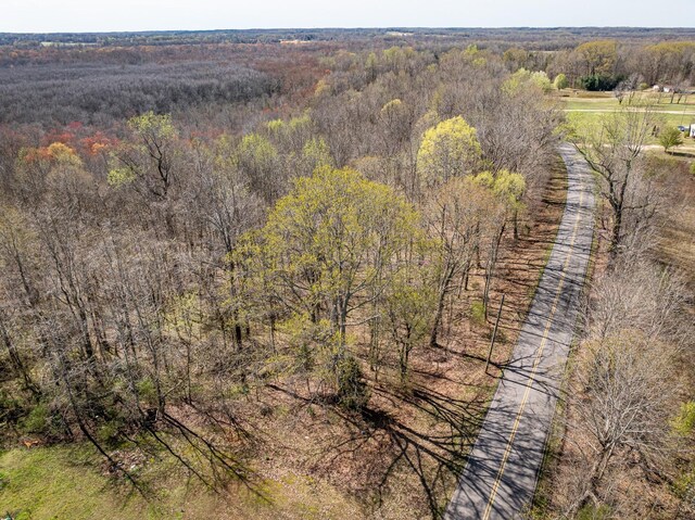 4401 Spring Creek Rd, Lavinia, TN 38348 - photo 9