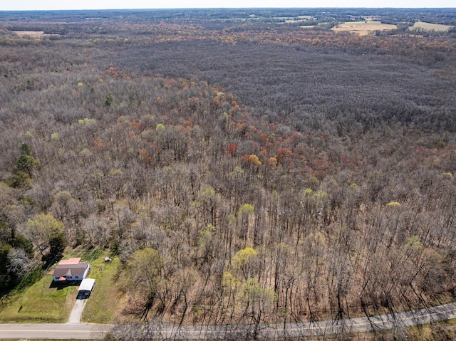 4401 Spring Creek Rd, Lavinia, TN 38348 - photo 8
