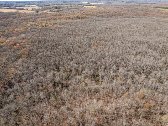 4401 Spring Creek Rd, Lavinia, TN 38348 - photo 3