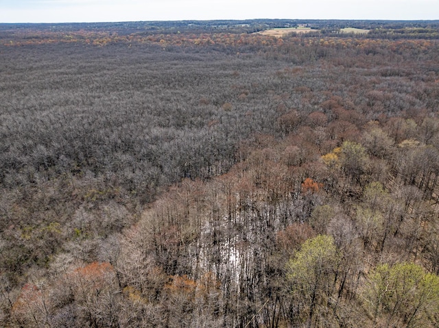 4401 Spring Creek Rd, Lavinia, TN 38348 - photo 12