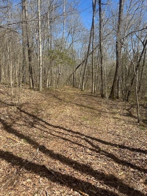 4401 Spring Creek Rd, Lavinia, TN 38348 - photo 11