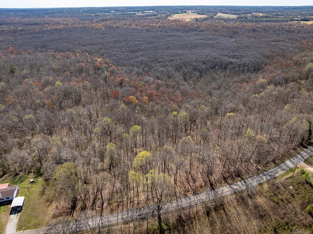4401 Spring Creek Rd, Lavinia, TN 38348 - photo 5