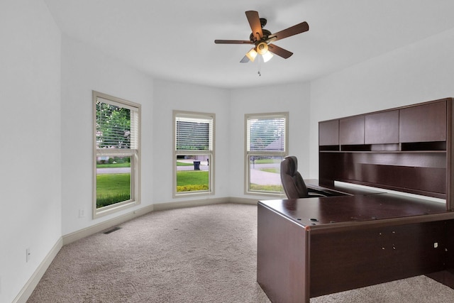 2726 Wynthrope Hall Dr, Murfreesboro, TN 37129 - unfurnished office with carpet flooring, plenty of natural light, ceiling fan, and baseboards