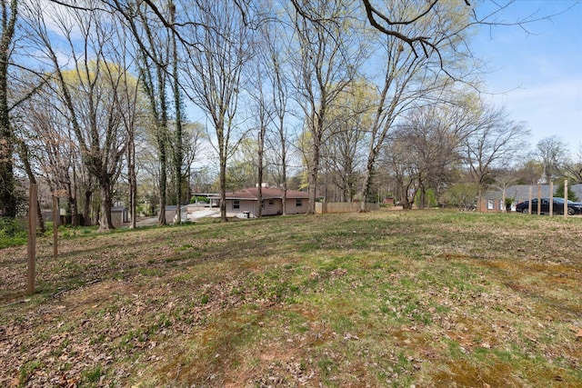 276 E Porters Bluff Rd E, Clarksville, TN 37040 - view of yard