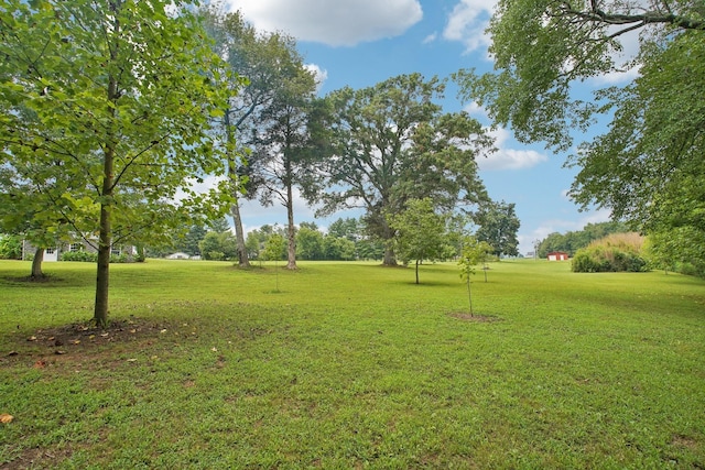 8569 Old Nashville Hwy, Woodbury, TN 37190 - photo 36