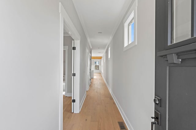 1107B Walsh St, Nashville, TN 37208 - photo 4