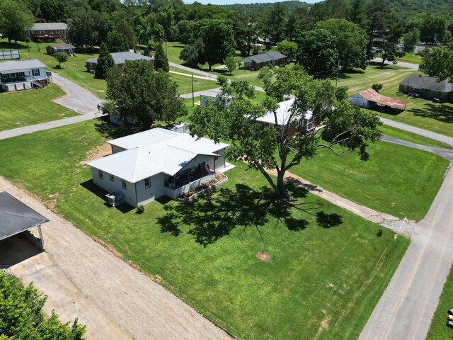 bird's eye view
