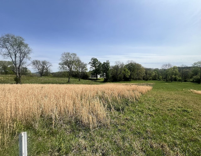 1040 Burnt House Rd, Lebanon, TN 37090 - photo 69