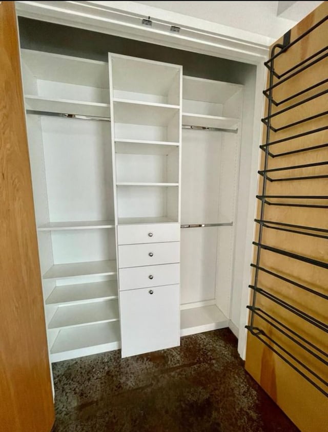 view of closet