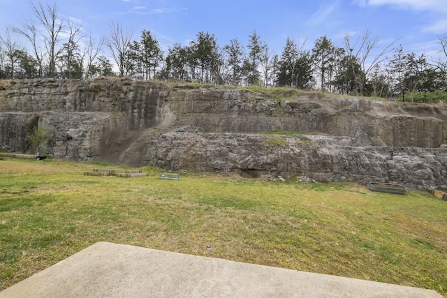 1424 Old Stone Rd NW, Lebanon, TN 37087 - view of yard