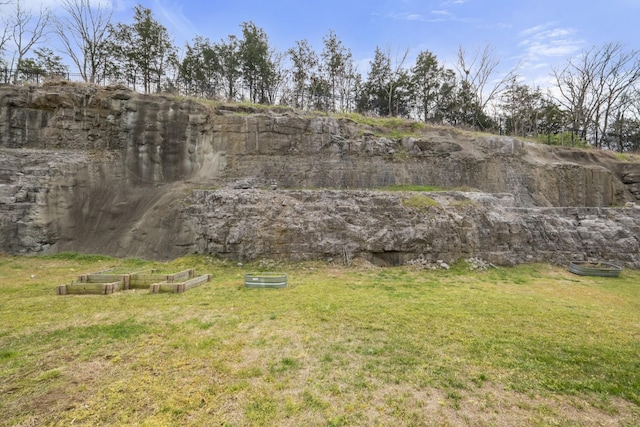 1424 Old Stone Rd NW, Lebanon, TN 37087 - view of yard featuring a vegetable garden