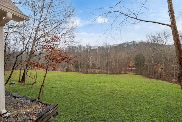 view of yard featuring a view of trees