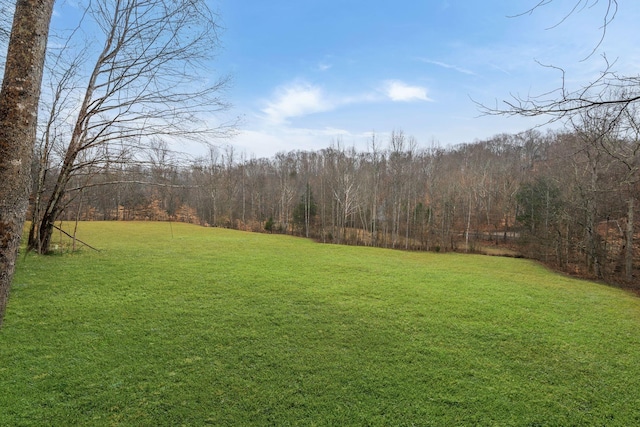 view of yard featuring a view of trees