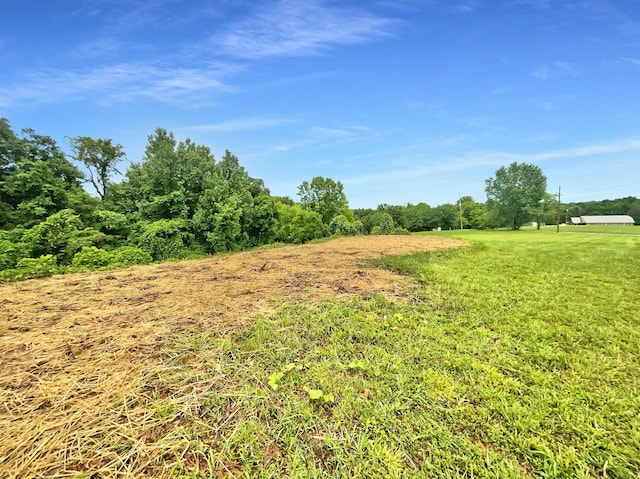 851 Salem Rd, Clarksville, TN 37040 - view of local wilderness