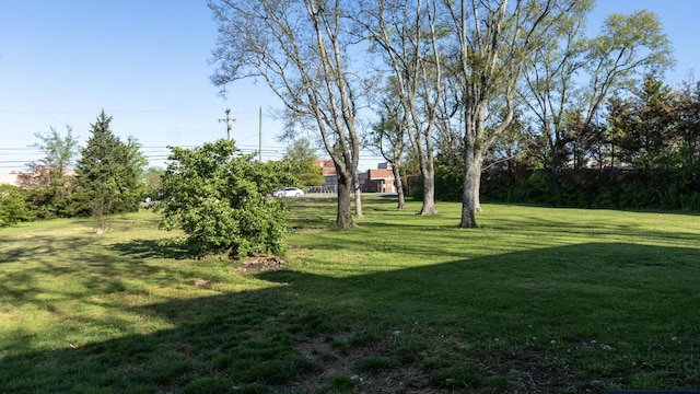 259 W End Hts, Lebanon, TN 37087 - view of yard