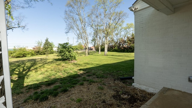 259 W End Hts, Lebanon, TN 37087 - view of yard