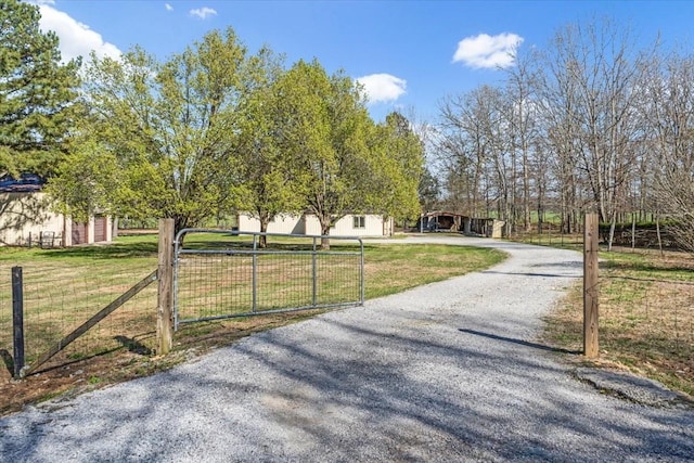 view of road featuring a gate, gravel driveway, and a gated entry